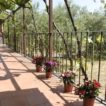 Casa vacanza Etna Evergreen Villa Piedimonte Etneo Buitenkant foto