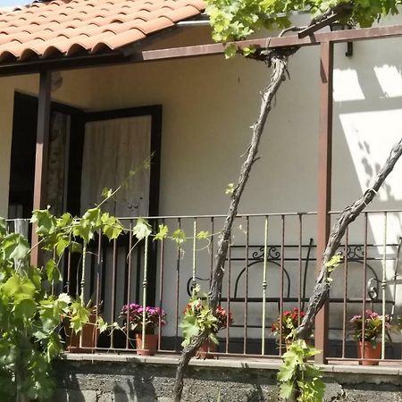 Casa vacanza Etna Evergreen Villa Piedimonte Etneo Buitenkant foto