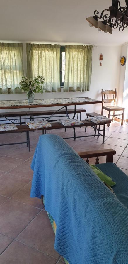 Casa vacanza Etna Evergreen Villa Piedimonte Etneo Buitenkant foto