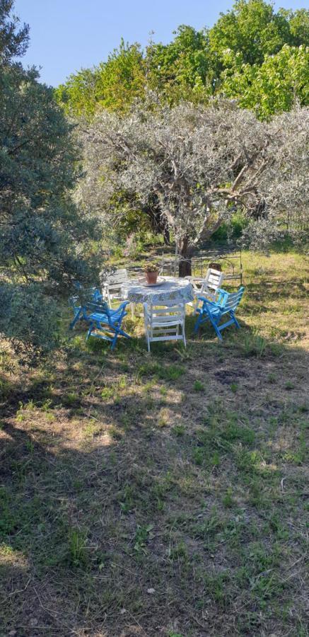 Casa vacanza Etna Evergreen Villa Piedimonte Etneo Buitenkant foto