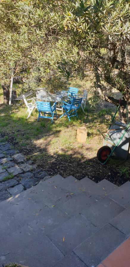 Casa vacanza Etna Evergreen Villa Piedimonte Etneo Buitenkant foto