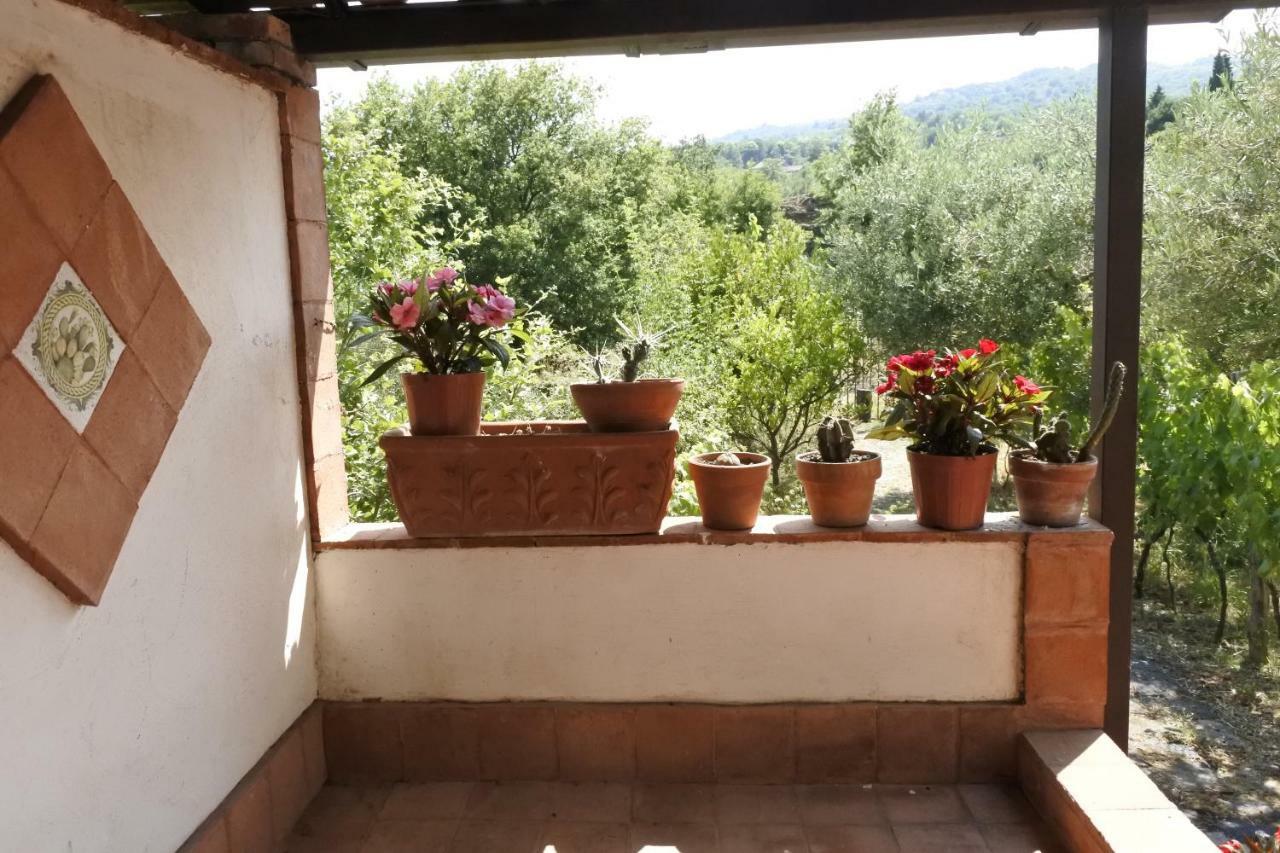 Casa vacanza Etna Evergreen Villa Piedimonte Etneo Buitenkant foto