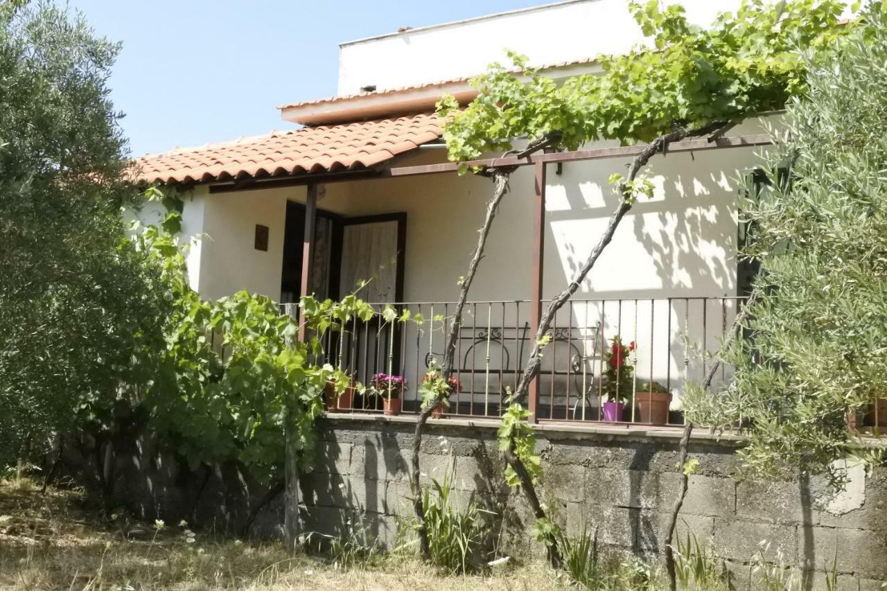 Casa vacanza Etna Evergreen Villa Piedimonte Etneo Buitenkant foto