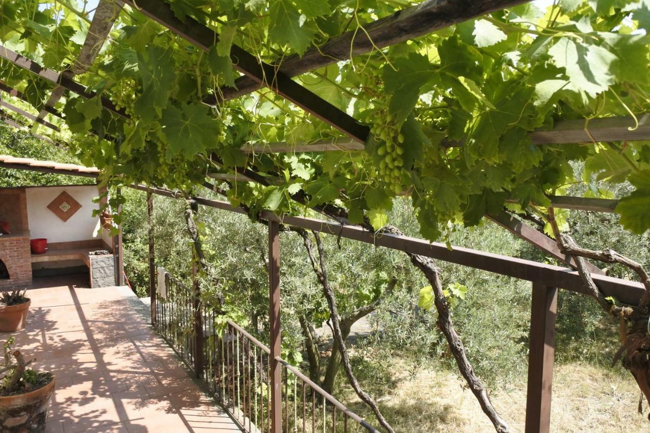 Casa vacanza Etna Evergreen Villa Piedimonte Etneo Buitenkant foto