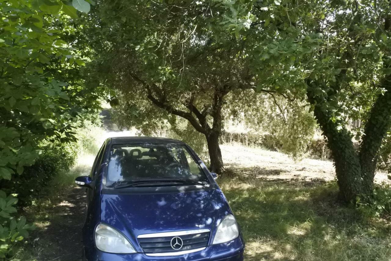 Casa vacanza Etna Evergreen Villa Piedimonte Etneo Buitenkant foto